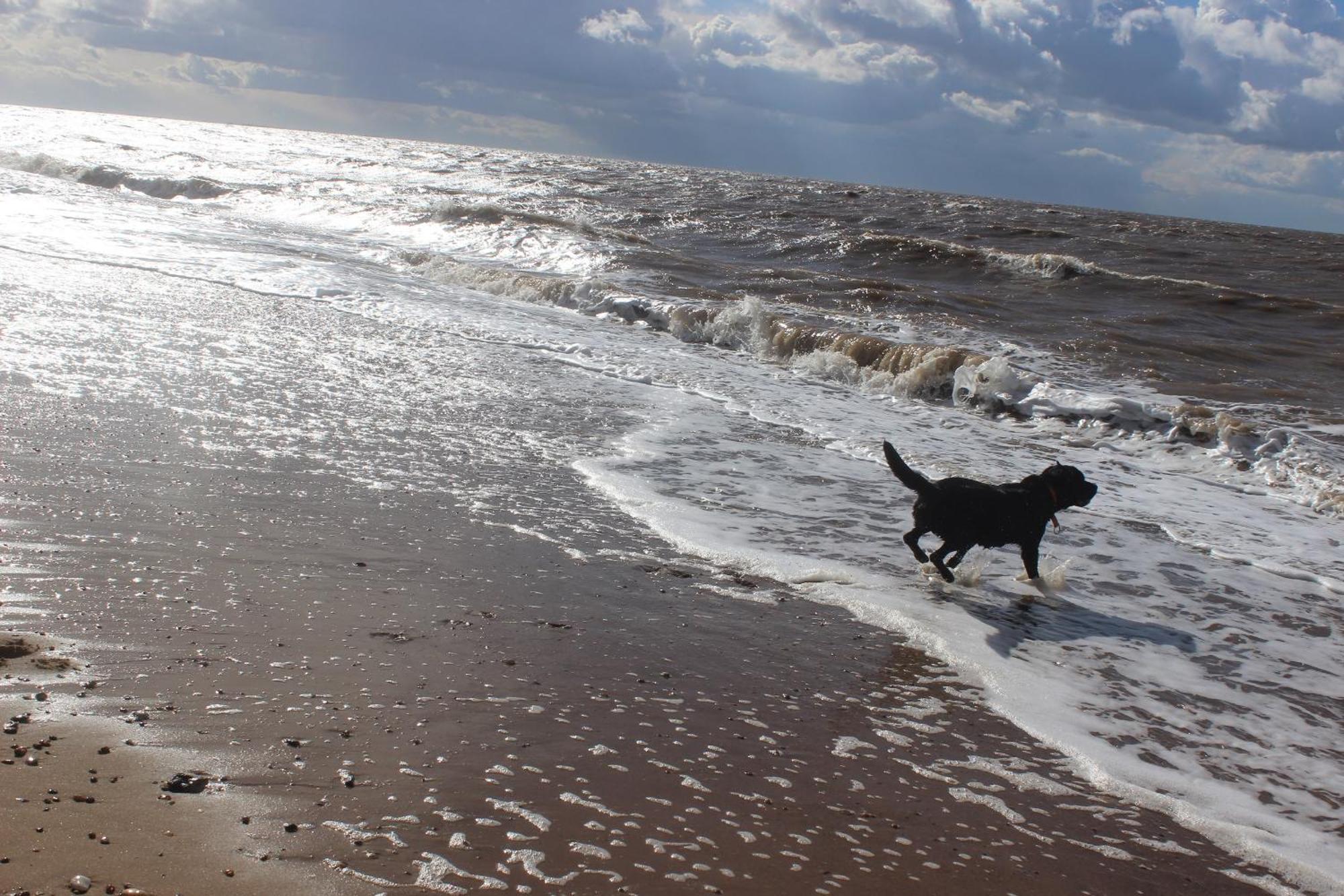 Norfolk Accommodation Heacham Dış mekan fotoğraf